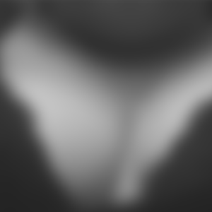 rencontre-Cougar-Vichy