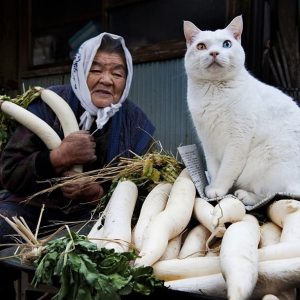 Lian - rencontre-Asiatique-Marseille