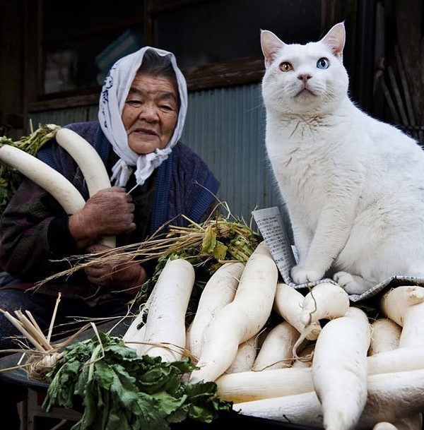 rencontre-Asiatique-Marseille